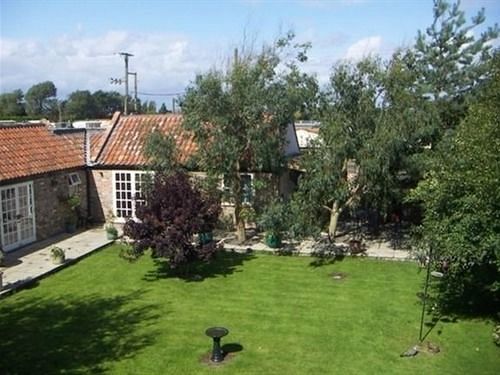 Yew Tree House - B&B Burnham-on-Sea Eksteriør billede
